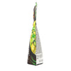 Green Curry Sauce 200g